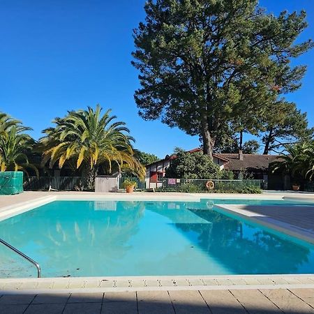 T2 Ciboure 4 Pers Avec Piscine Ideal Vacances Exteriör bild