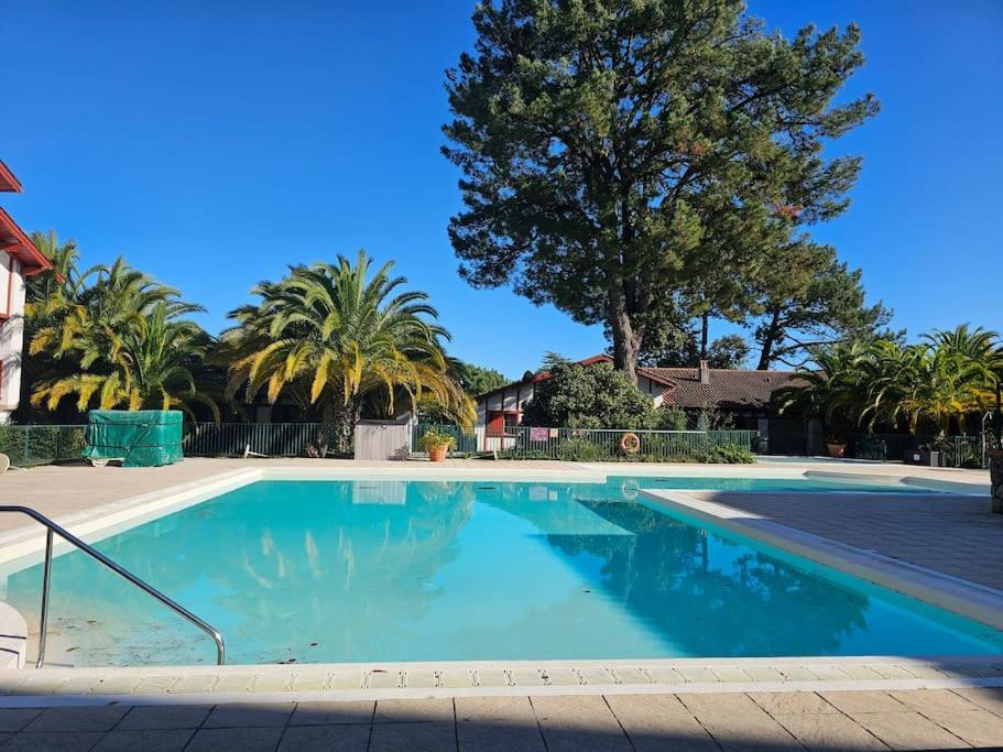 T2 Ciboure 4 Pers Avec Piscine Ideal Vacances Exteriör bild